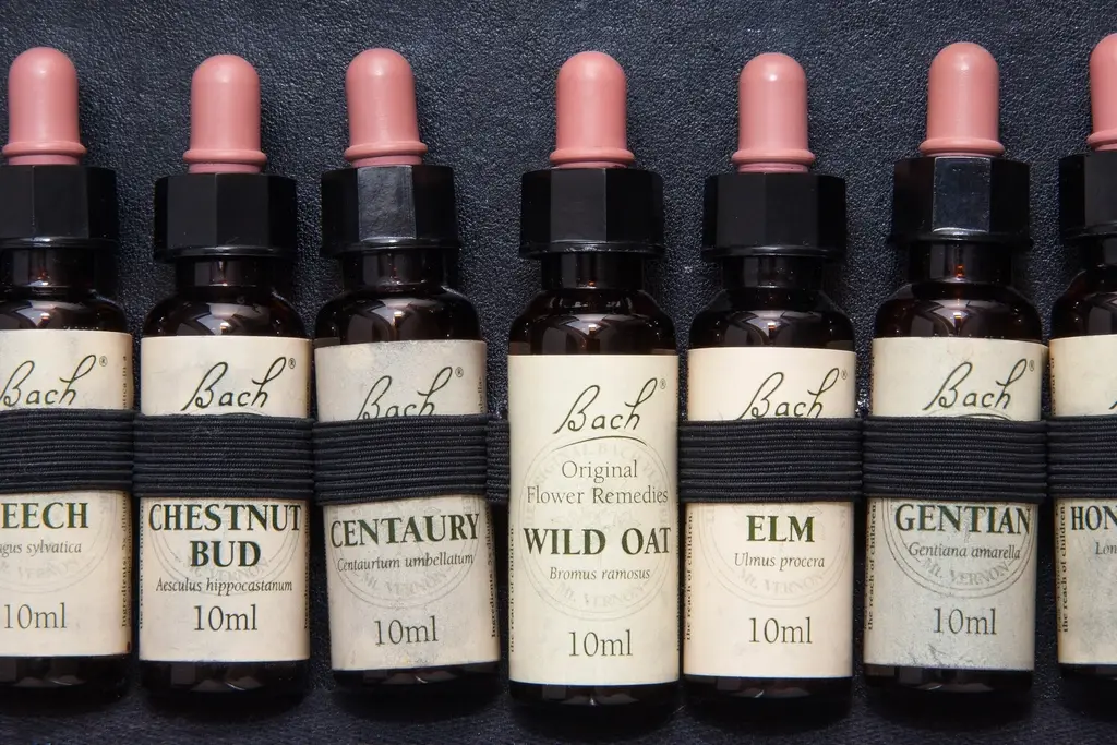 Frascos âmbar de sérum com conta-gotas