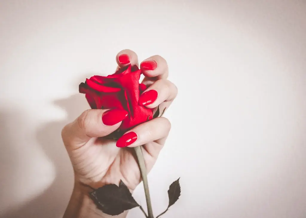 Mão com unhas longas em formato amendoado, esmaltadas de vermelho, segurando uma rosa vermelha
